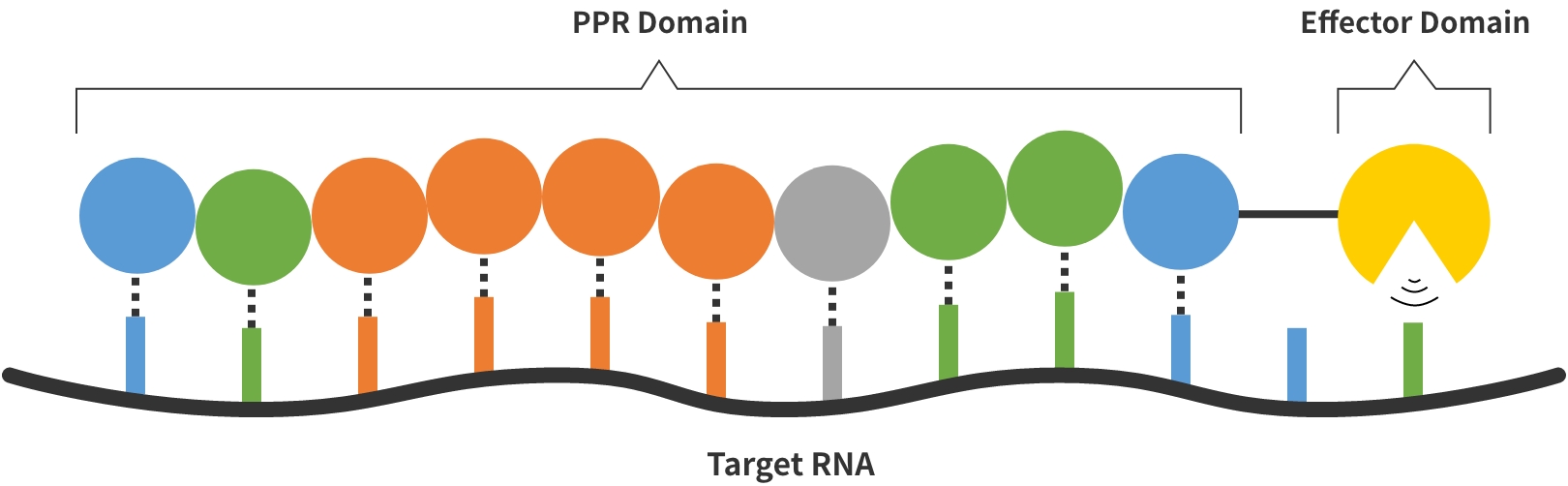 PPRプラットフォーム技術