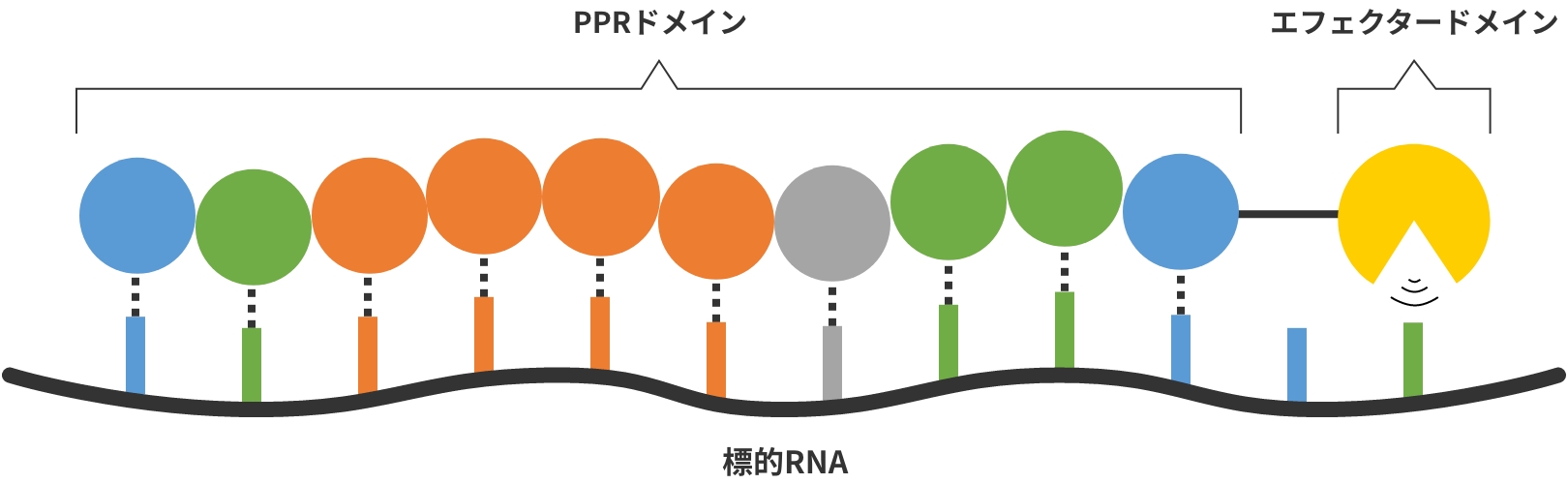 PPRプラットフォーム技術