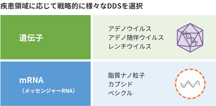 疾患領域に応じて戦略的に様々なDDSを選択